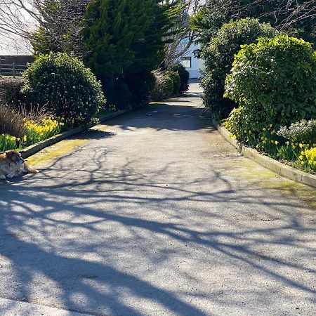Rose Cottage Captivating 1-Bed Cottage In Bangor Exterior foto